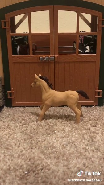 My collection over 6 years! I love each and everyone of them! #schleich #horse #schleichhorse #schleichhorses #collection #fyp #viral