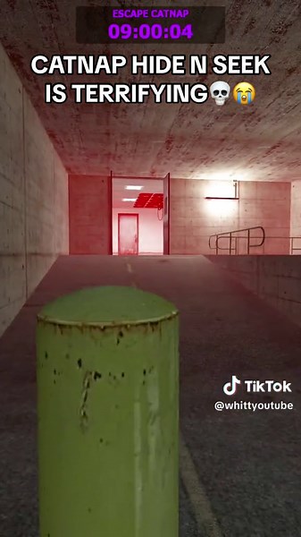 Terrifying Catnap Hide and Seek in Gmod and Roblox