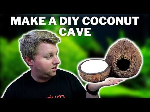 How to Build a Coconut Cave for Your Aquarium - DIY Natural Cichlid / Fish Cave