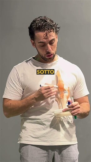 🦵 DOLORE DAVANTI AL GINOCCHIO? IL PROBLEMA POTREBBE NON ESSERE LA ROTULA