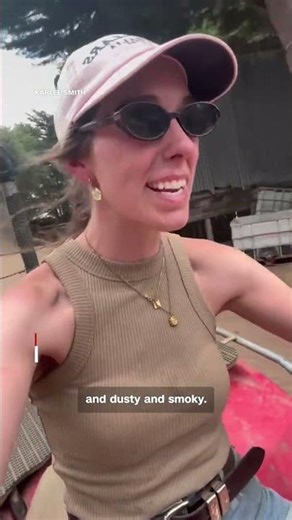 Koala rescued from wildfires in Australia