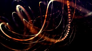 Cleaning Of The Apartment