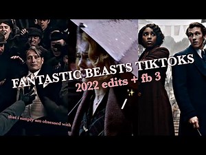 fantastic beasts tiktok edits I'm obsessed with (+secrets of dumbledore)