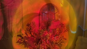 Watch flower sunset decoration lamp on Amazon Live