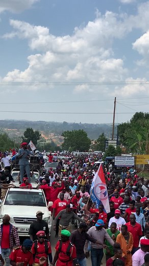 National Unity Platform on TikTok