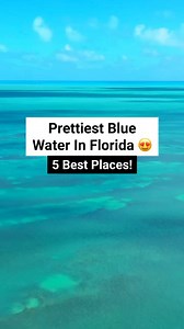 295K views · 6.9K reactions | We all want to swim in that crystal clear water! #florida #clearwater #beaches #beach #beachvibes #beachlife #florida #sunshinestate #floridasprings #spring #naturalsprings #nature #naturelovers #beautifuldestinations #usa #swimming | Florida Trippers | Facebook