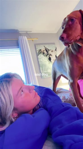 P$APROCKYXOXO | 97K (@psaprockyxoxo11)’s videos with original sound - Treyway