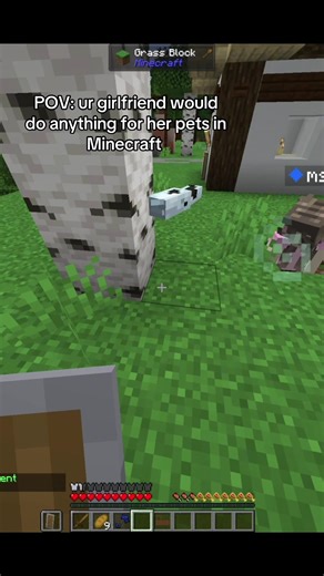 She really cares about them #minecraft #pet #girlfriend #anything #fyp | minecraft