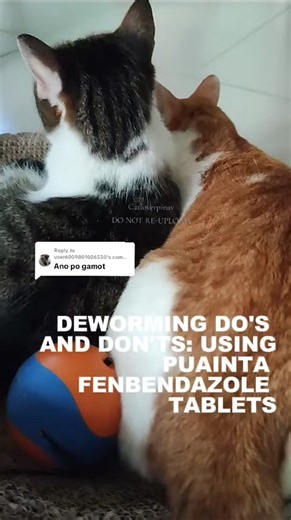 Effective Fenbendazole Tablets for Cat and Dog Deworming