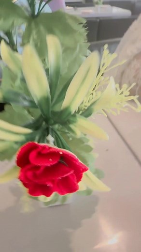 Aa Meri Jaan | Golden Group