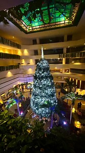 102 reactions · 13 comments | Embracing the joy of Christmas Eve at #MyCoralBeach 李 may your celebrations be filled with warmth and the very best moments✨ #ChristmasEve #GrandExperience | Grand Fiesta Americana Coral Beach Cancún All Inclusive | Facebook