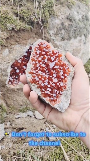 🔥 “This Rare Red Agate Looks Like Fire Trapped in Stone!”