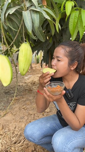 890K views · 10K reactions | Mouthwatering mango #reels #reelvideo #eating #eatingvideo #asmreating #mukbang #mango | Learning Insider | Facebook