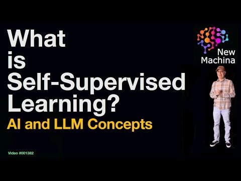 What is Self-Supervised Learning ?