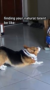 A natural yoga master | Barked