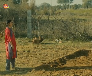 हरियाणवी #haryanvi Haryanvi #viral #video | Sonotek Haryanvi