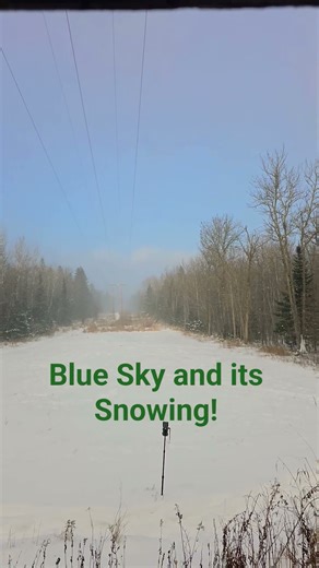 Afternoon hunt! Get after it! #muzzleloader #Minnesota #incompetent #outdoorsmen