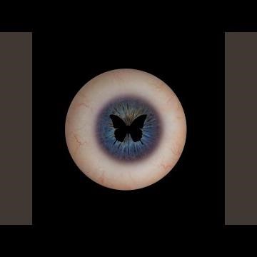 Eyez Of A Butterfly
