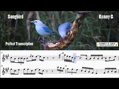 Songbird (Kenny G) - Soprano Saxophone Perfect Transcription