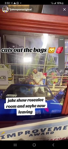 cats out the bags #fyp #fyp #fyp #fyp #fyp