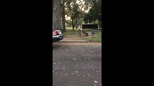 11K views · 299 reactions | Aphex Twin: "Xtal" | Cholo Challenge Dance To Different Songs | Facebook