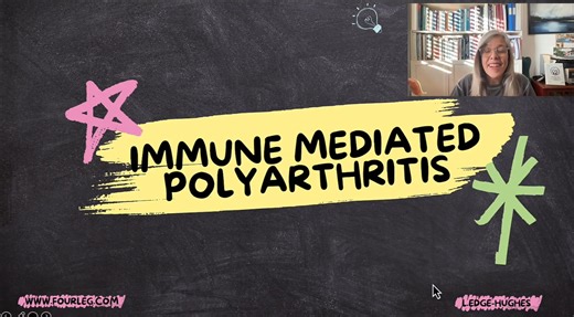 IMPA-Full-Recording-sm