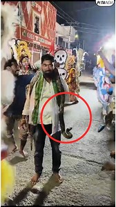 2K views · 59 reactions | Pythons aren’t props! In a cruel...