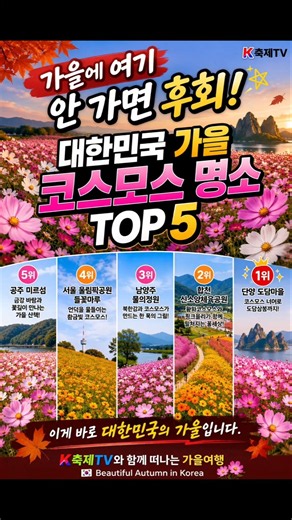 🌸 가을에 꼭 가야 할 대한민국 코스모스 명소 TOP 5 🇰🇷해시태그:#K축제TV #가을여행 #코스모스명소 #코스모스 #국내여행 #가을명소