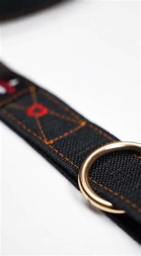 EzyDog Vario 4 Multi-Function Dog Leash - Premium Adjustable Lead with Soft Touch Webbing