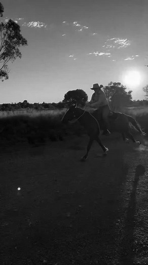 2.5K views · 16 reactions | ⚠️ SYSTEM REBOOT INITIATED ⚠️ Power returning… 87% Reboot Reveal 6AM AEST TUESDAY 11TH. #HidetoTideBlackedOut #Reboot | Hide to Tide | Facebook