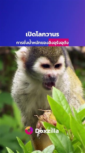 #ดูสารคดี เรื่องเต็มได้ที่ #doxzilla ทั้ง iOS, Android, Android TV, LG TV, Samsung TV, Web browser