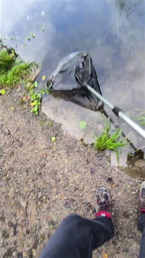 Fishing for trout with Libra Lures