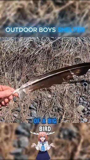 60K views · 642 reactions | Outdoor Boys Camping in Remote Alaskan Beaches #outdoorboysshelter #outdoorboys #camping #shelter #foryou | OutdoorBoy | Facebook