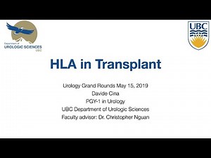 HLA in transplantation