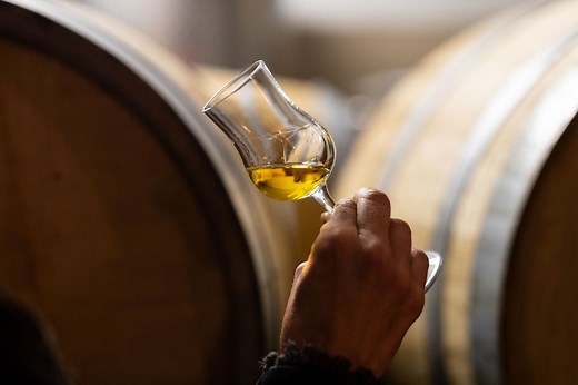 A Guide to Grappa, the Italian Digestif You Should Order More Often