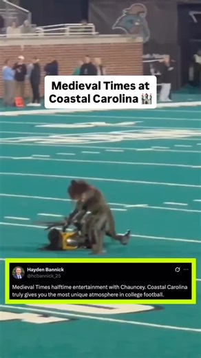 4.1K views · 551 reactions | This HT show was classic  (via hcbannick_25/X) #cfb #collegefootball #football | College Football from B/R | Facebook