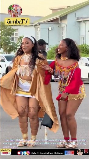 zulu dance south africa culture and traditions - 🇿🇦 #zulutribe #umemulo #africa #zulumaidens