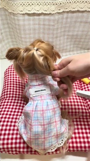 The tutorial for the back version of the puppy's double ponytail is here #shortvideo #pets