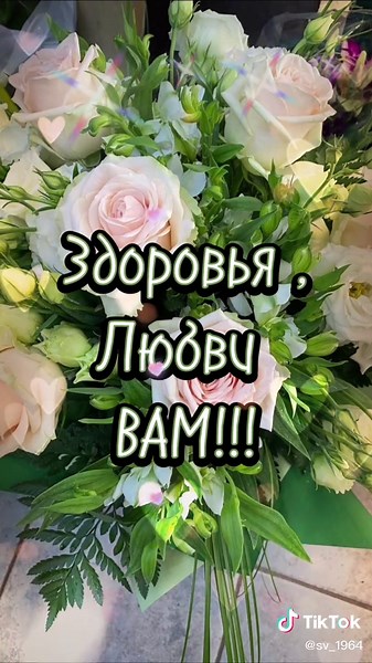 Beautiful Close-Up Shots of Colorful Roses in Bloom