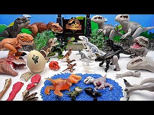 Dinosaur Battle | Tyrannosaurus VS Indominus | Dino Egg, dinosaur bone, dino legos