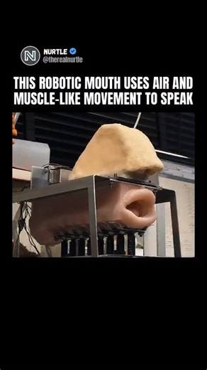 Nurtle on Instagram: "This is a real research prototype designed to recreate human speech using a physical mouth instead of digital audio. The system uses soft silicone lips, artificial skin, and mechanical actuators to mimic how human mouths move when forming words. Sound is created through airflow and vibration, similar to how real vocal tracts work. These robotic mouths are mainly developed by Japanese research labs studying speech formation, linguistics, and human robot communication. The go