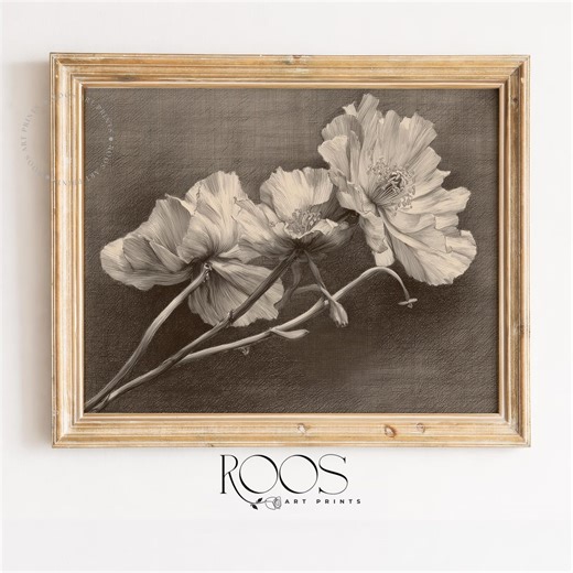 Vintage Poppy Blossom Pencil Sketch - Neutral Botanical Printable Wall Art, Classic Moody Farmhouse Decor, Digital Art Download - Etsy