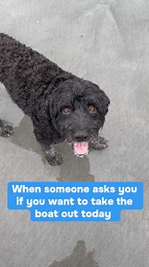 DOCKED! Pre-order your pontoon boat docking system now on our website! Shipping in early May 2025. Easy, secure, and accessible, our product can take away the hassle of docking your boat. Make this summer on the lake your best one yet. UrDocked.com #lakelife #boats #pontoon #summervibes #boatlife #boating #water #fishing #docked #docking #waves #waterdog #portuguesewaterdog #beach | Docked- Pontoon Boat Docking System