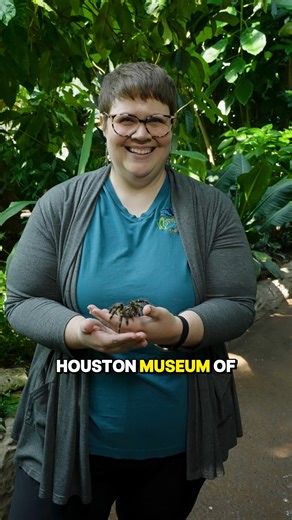 3.9K views · 77 reactions | Have you ever wanted to uncover a fossil...