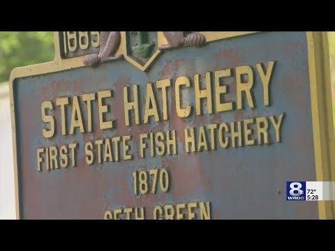 New York State invests $120M to modernize fish hatcheries