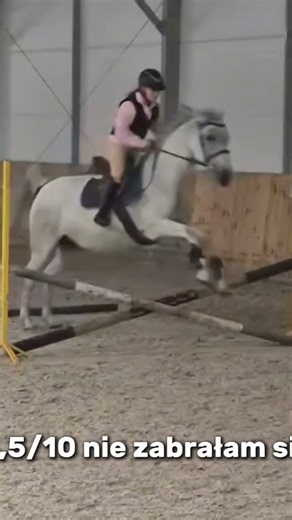 #horse #equestrian #music