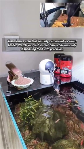 ​Smart Camera Security Meets Automated Fish Feeding System Integration