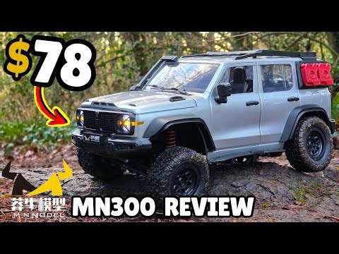Why Did They Do THIS?! - MN Models MN300 Review