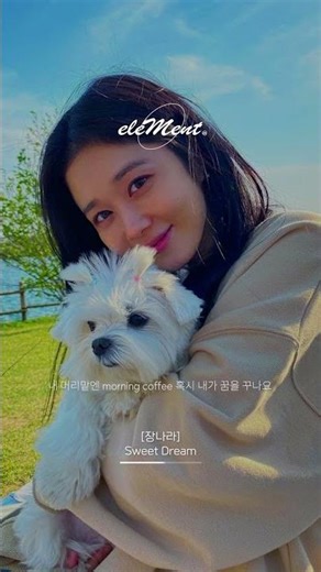 [Element] Playlist ㅣ옆구리 시린 겨울에 포근해지는 플레이리스트🥰 #장나라 #sweetdream