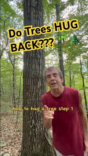 Unlock The Power Of Tree-hugging: Nature's Hidden Spiritual Portal!